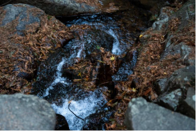 1639032767154662.png image.png