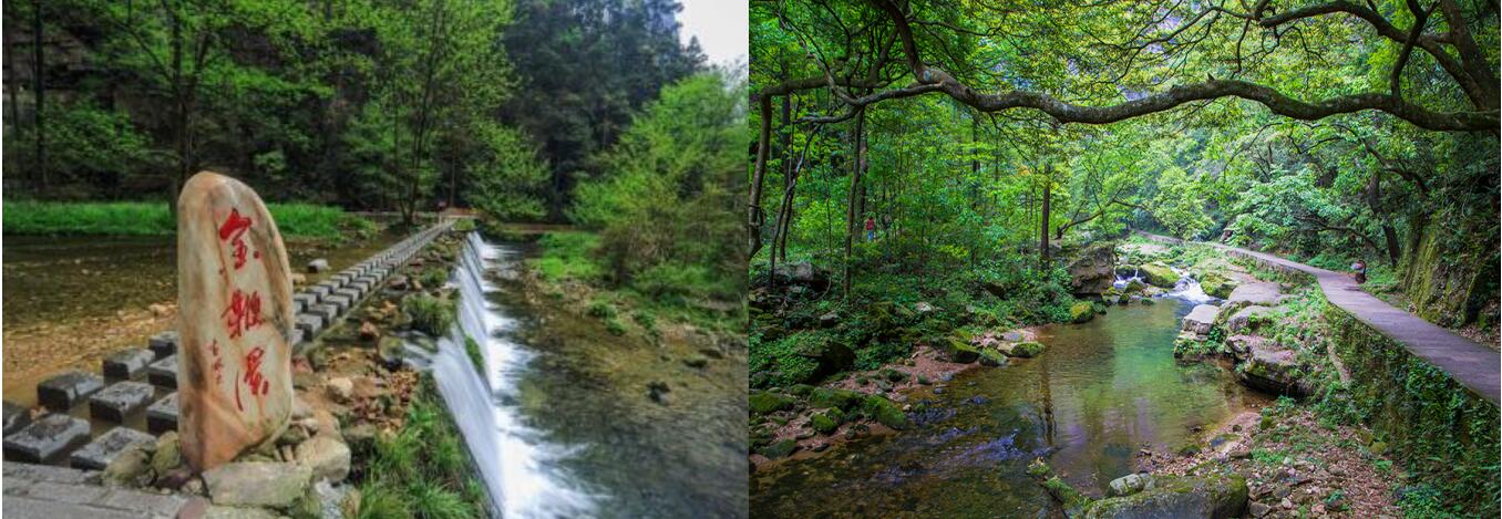 1655457615130413.jpg 2.jpg